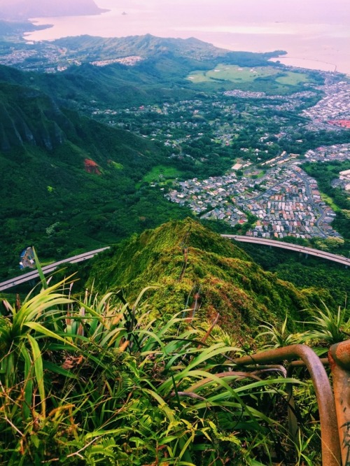 Stairway to Heaven Hike || Oahu, Hawaii Instagram: emmaneagu