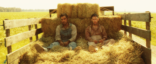 lorilovecake:  earationaltruistudent:  mocasia:  oh brother where art thou  An all-time