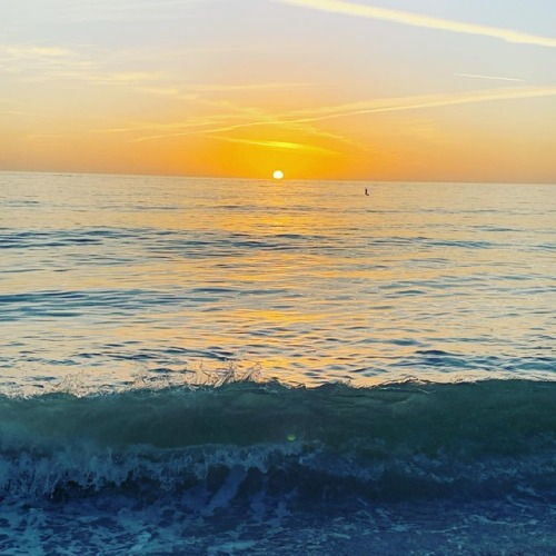 You’re a wanderer just like me. #sunshinestateofmind (at Sarasota, Florida) www.instagram.co