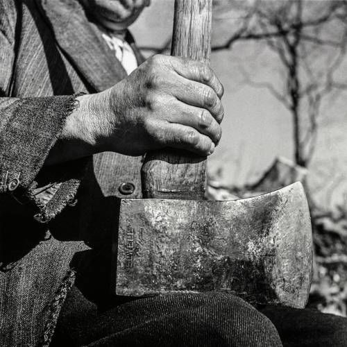 joeinct:Woodsman, Photo by Jane Bown, 1950