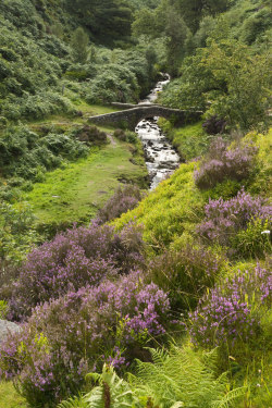 s601070:   	Derbyshire Bridge by l4ts    	Via Flickr: 	This old packhorse bridge once stood in the hamlet of Goyt’s Bridge before it was submerged under the waters of Errwood Reservoir.   