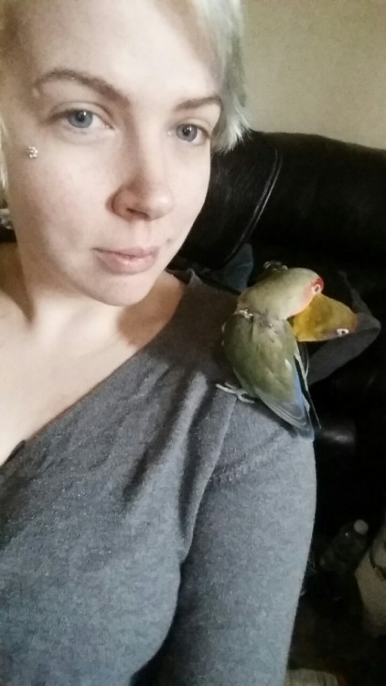 Birb selfies