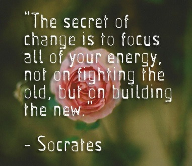 Love What Arises