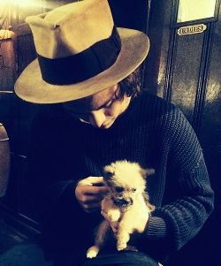 eroticaremix1:  @harrystyles: Hersh &amp; Bear. 