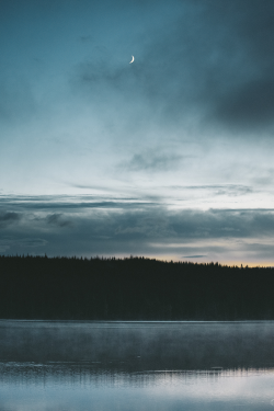 plasmatics-life:  Enigmatic Forest ~ By Circa