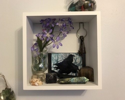 Altar tips for closeted Witchlings:
Floating shelves make excellent undercover altars/sacred spaces/shrines. No one looks twice if you fill it with art, flowers, or crystals!
This came as a set of three, which I spaced out along the wall and filled...