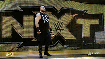 hiitsmekevin:  Are you  trying to kill Cena 