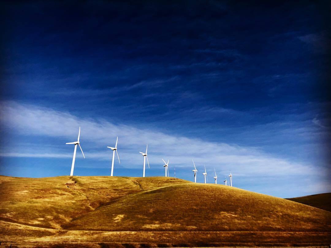 Vasco Road windmills. #norcal #purewindenergy #cleanenergy #california #leadingtheway