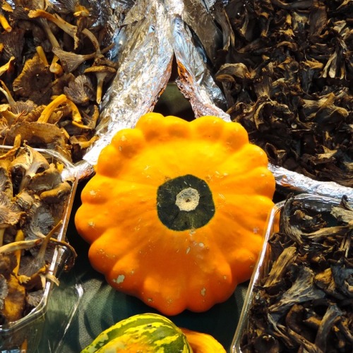 Saveurs d'Automne: Courges, cèpes et autres champignons, rue Cler, Paris, 2017.