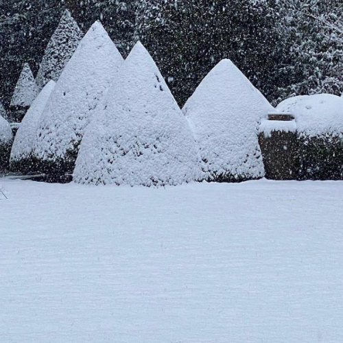 Photos of Friar Park from Olivia Harrison’s Instagram [x]NOTE: Happy Birthday, George Harrison! Duri