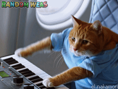 randomweas:  The Internetest safety video on the Internet (x)