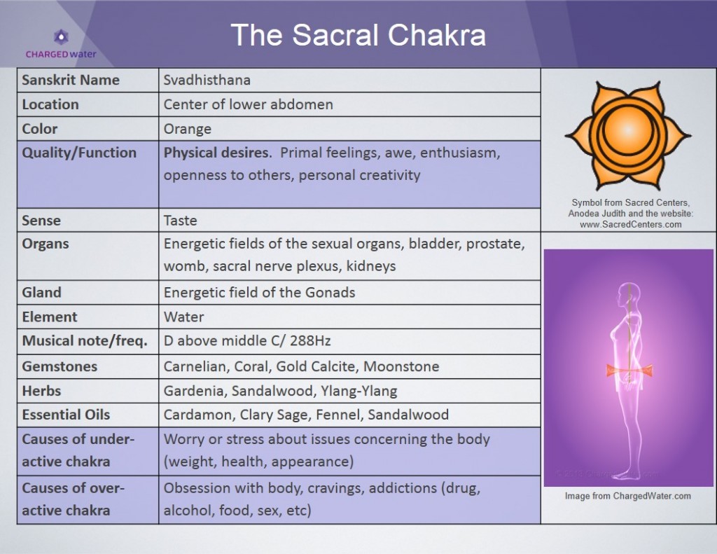 metanoia-world:  Major Chakras   A chakra is an spinning energy center that manages