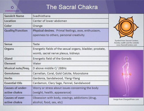 Sex metanoia-world:  Major Chakras   A chakra pictures