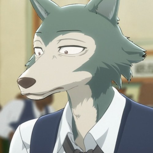  It was Legoshi’s (Beastars) turn a couple of days ago for #6cosplays . (i asked for suggestio