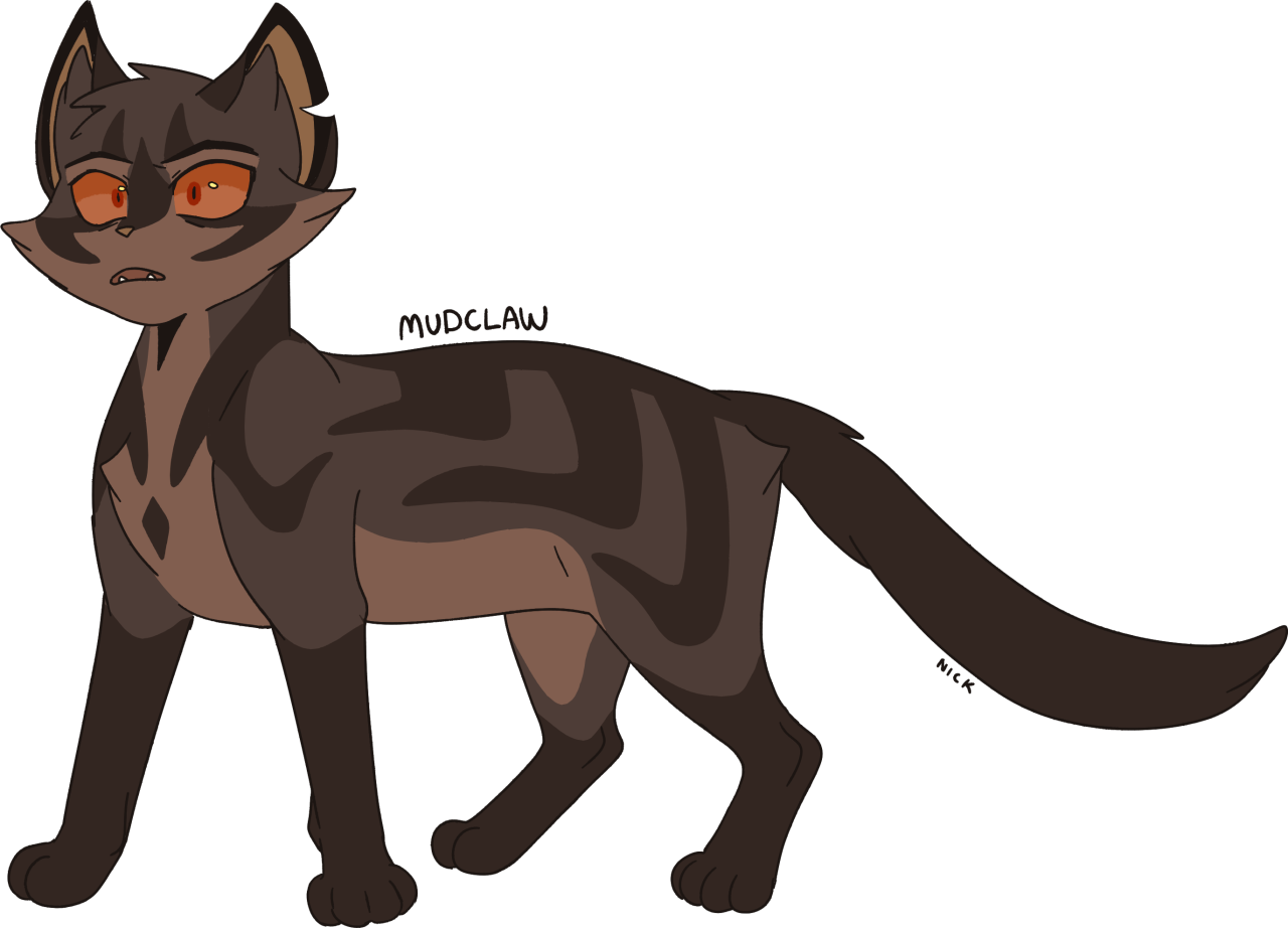 Nick's Warrior Cats Designs — the ultimate ashfur