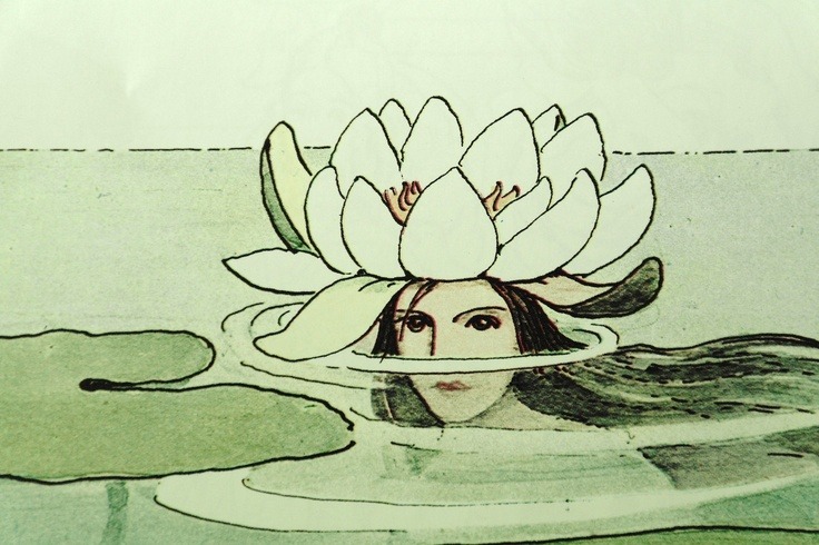 shakypigment:  Elsa Beskow ‘Dronning Vannlilje’ - Queen Water Lily