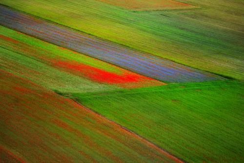 expressions-of-nature:  Castelluccio, Italy by Elena Sala