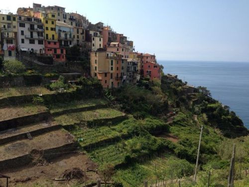 Cinque Terre day two, hiked from Corniglia to Vernazza, then took the train to Riomaggiore and Manar