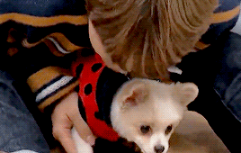 Jimins Love For Animals 