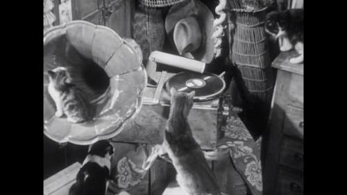 somnium13:  L'Atalante (1934) Directed by Jean Vigo