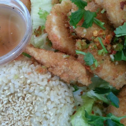 veganfeast:  Spicy Cha Cha from  Loving Hut,
