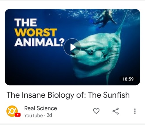MOLA MOLA WILL NOT WATCH THIS AND IS NOT HOLDING BACK TEARS OF ANGUISH THAY ANYONE WOULD THINK MOLA IS