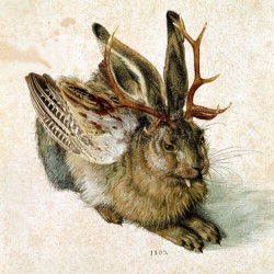 transcendentapocalysm:  My ancestor, ze #wolpertimger! #albrectdurer #prejackalope #jackalopeslim #daddyjackalope