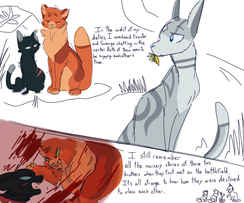 Warrior Cats Scourge Stories