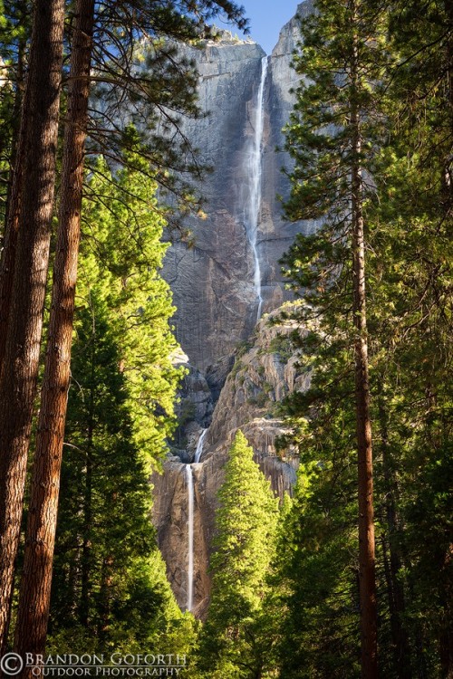tigertravelguide:Yosemite Falls by Brandon Goforth
