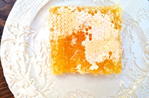 honey comb