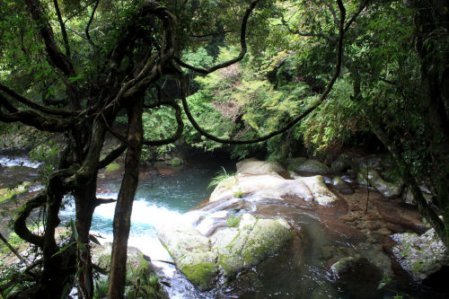 Kawazu River by Marc Hagen