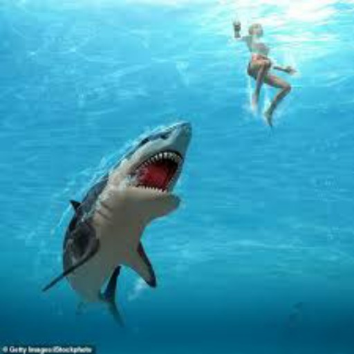 smooth-and-sensuous:shark-hunter:Damn!! Very