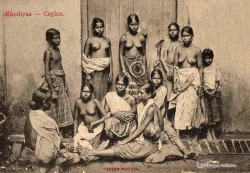 Sri Lankan Rhodiyas, via Historic images