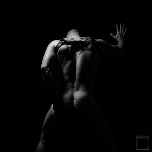 ilovebearsposts:                                http://www.mascularstudio.com/http://ilovebearsposts.tumblr.com/archive