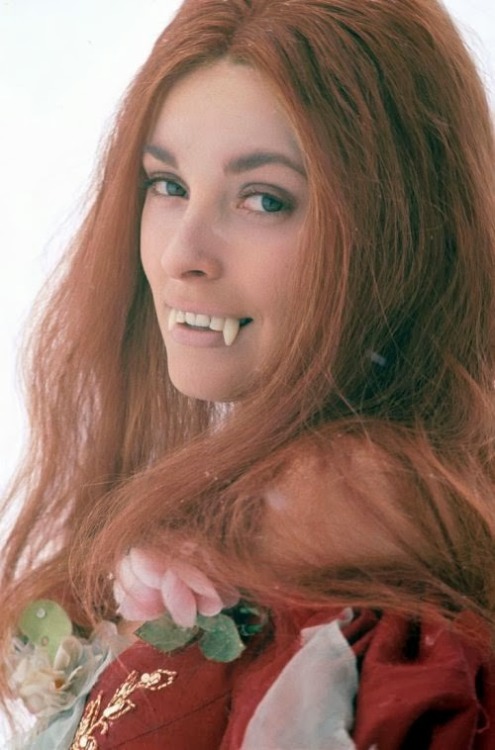 sweetheartsandcharacters: Publicity shot of Sharon Tate for The Fearless Vampire Killers (1967).