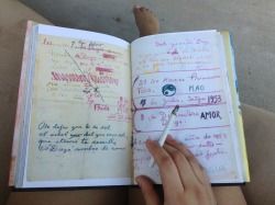 bambali:  frida kahlos diary right 