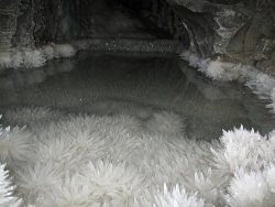 Magickandcrack:  Crystal Flower Poolthese Are Crystals In A Cave Somewhere Unknown.