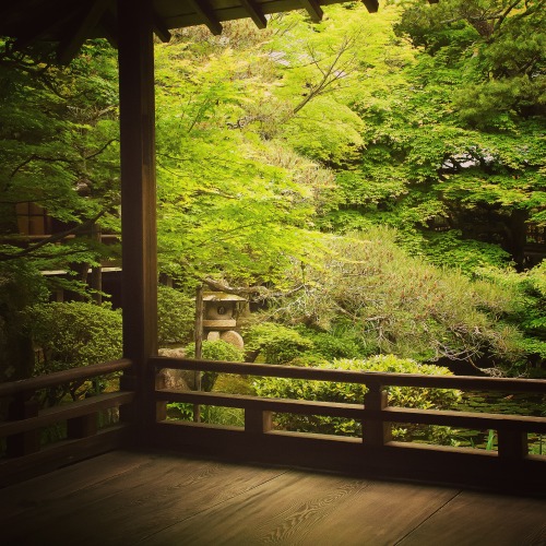 art-kyoto-jp:  No.313 at Zenrinji Temple (widely known as Eikando), Kyoto, Japan