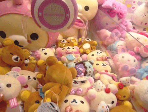 °❀⋆.ೃ࿔*:･🧸