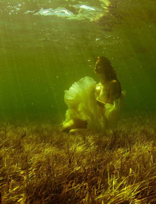 Tori Bellentina by me. Off Rickett’s point, Victoria, Australia. March 2013