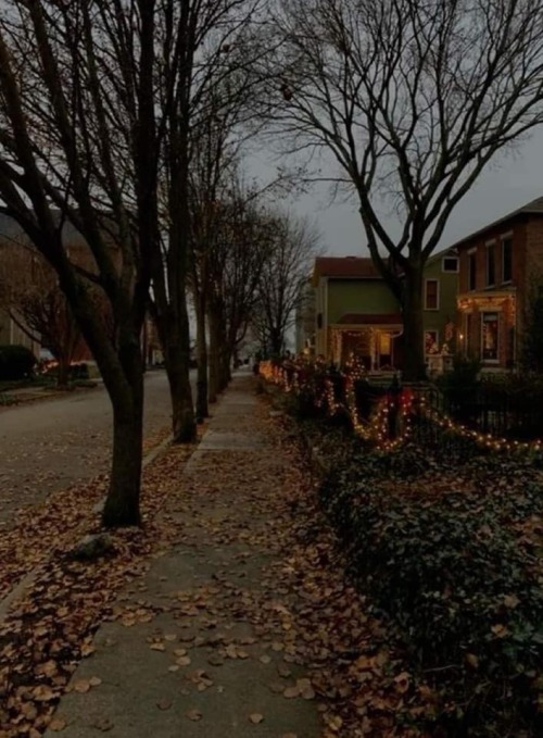 Autumn Walks