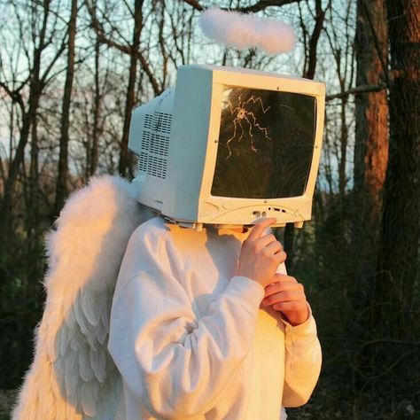 babyxcv