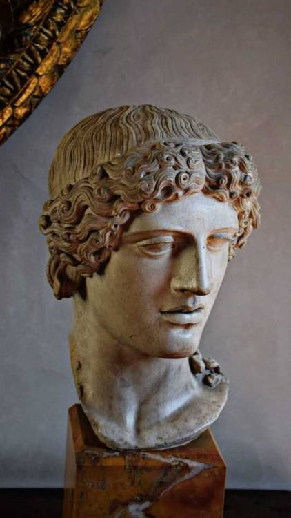 starpaintedskinmuse:A bust from Palazzo Pitti, Florence, Italy