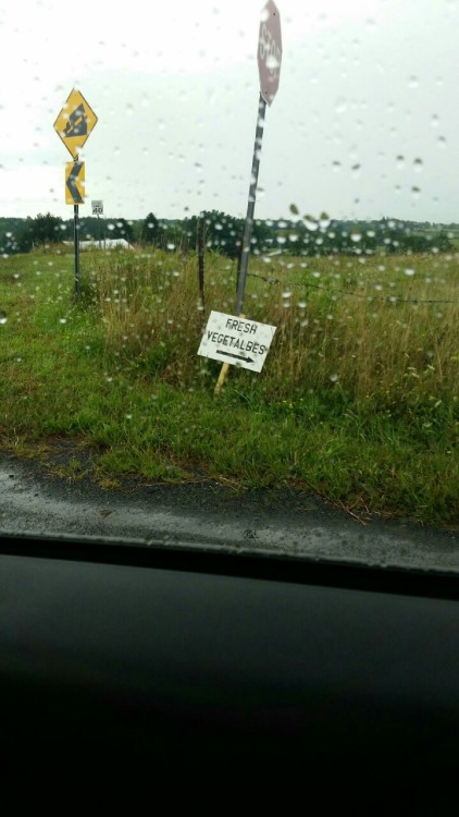 Lol….. fresh what?