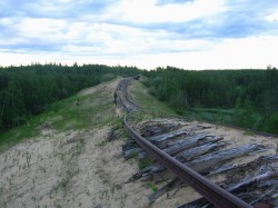 Fuckyeahabandonedplaces:  Abandoned Railway In Russia