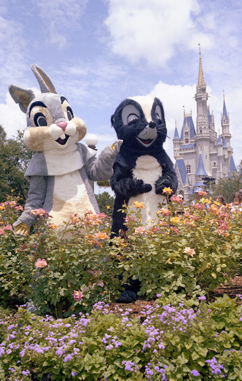  #‎TBT‬ to 1979 at the Magic Kingdom when Thumper and Flower from “Bambi” were enjoying 