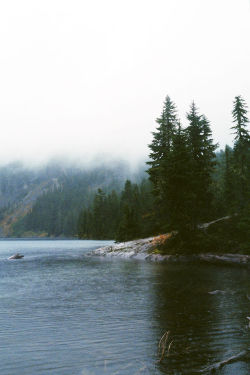northwezt:  Mount Rainier National Park, WA Flickr / Instagram