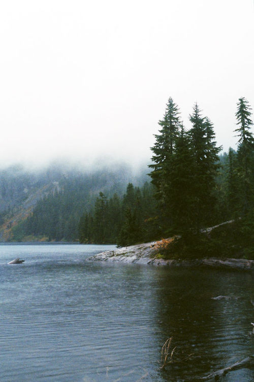 obsol:northwezt:Mount Rainier National Park,...