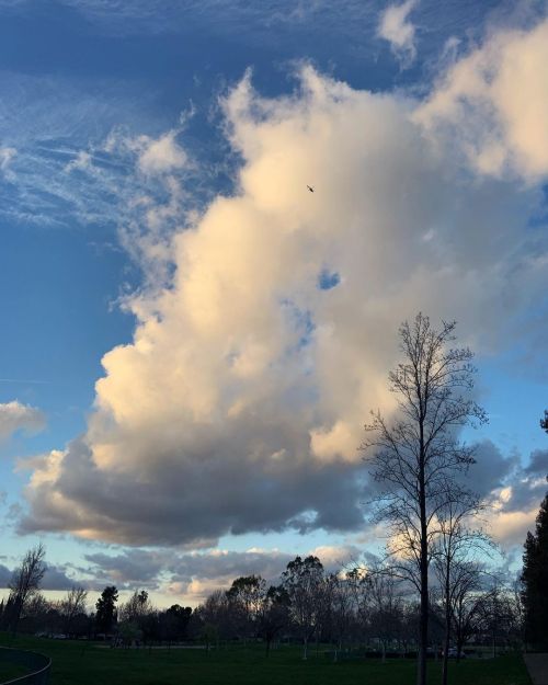 Helicóptero 🚁 y una nube ☁️ grande