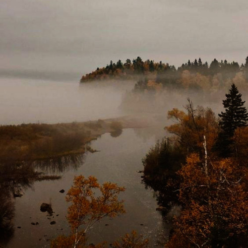 leafsandpumpkins:rainy days It may seems weird but rainy days with fog and cold feels more cozy to m